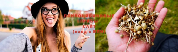 кокс Алзамай
