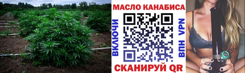 Дистиллят ТГК THC oil  Хадыженск 